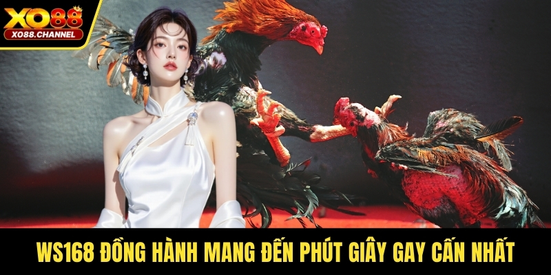 WS168 đồng hành mang đến phút giây gay cấn nhất